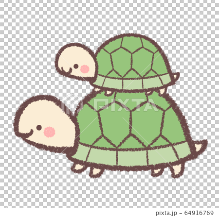 カメ親子のイラスト素材